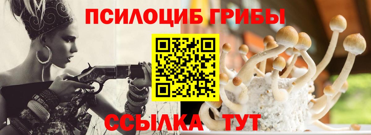 Севастополь  Псилоцибиновые грибы мухоморы  Вход с VPN  Галлюциногенные грибы прущие грибы 